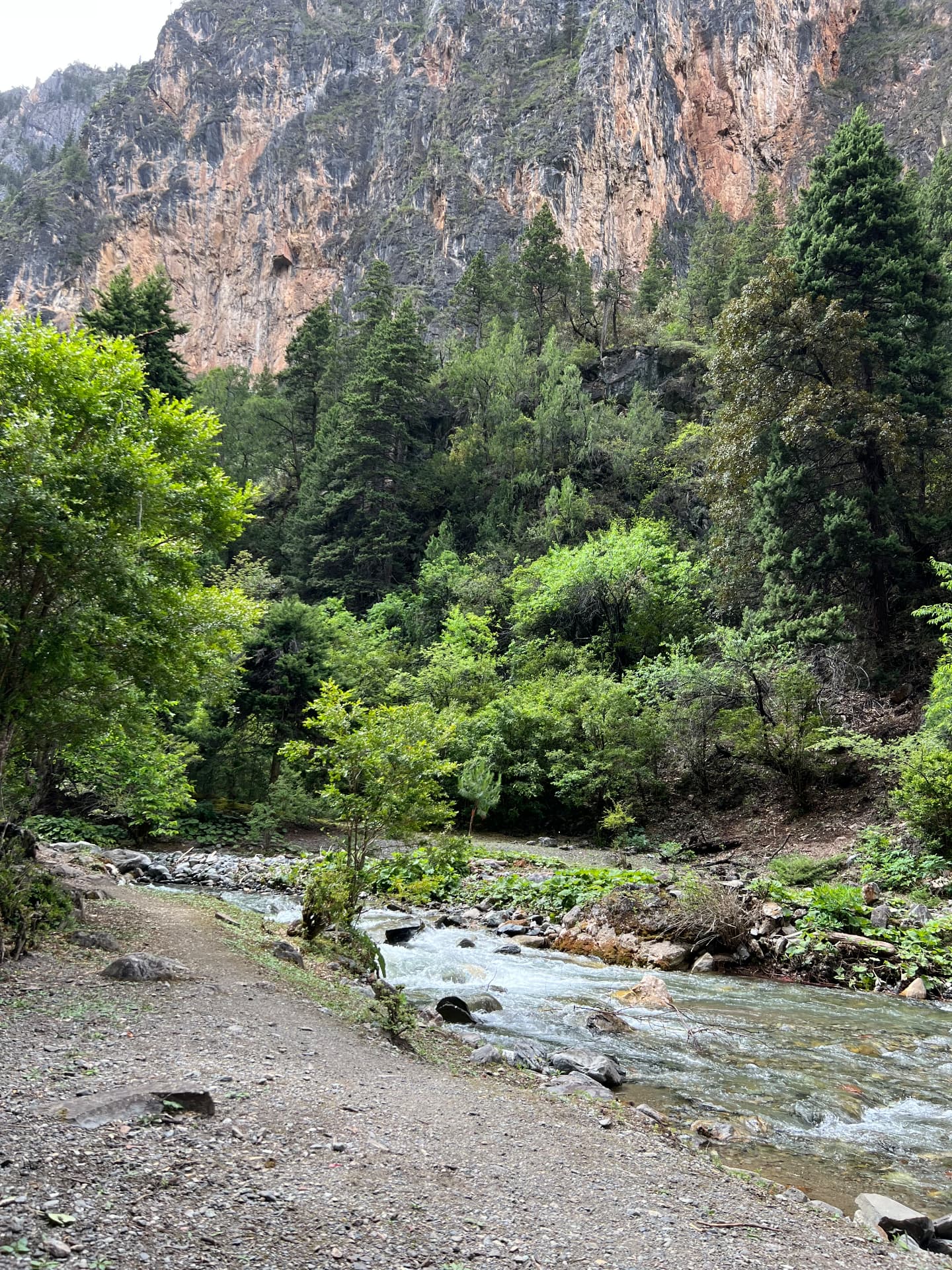 A mountain stream winding through the forest valley